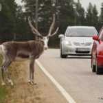 Wyprawa na Nordkapp część 4