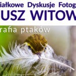 PDF z Januszem Witowiczem – Fotografia ptaków