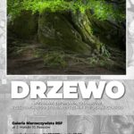 „Drzewo” zbiorowa wystawa RSF w Galerii Nierzeczywistej