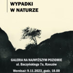 „Graficzne wypadki w naturze” w Galerii Na Najwyższym Poziomie!