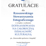 RSF z dofinansowaniem działalności całorocznej na 2024 rok