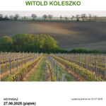 WITOLD KOLESZKO | MORAWY