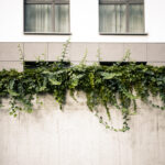 Wernisaż wystawy PSD 2025 – zapraszamy!