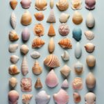 Knolling – sztuka porządku w fotografii | PDF