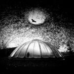 PDF – miesięczniki listopadowe